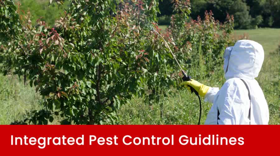 How Does IPM Work