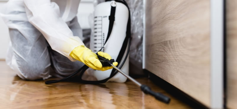 Pests can cause catastrophic damage
