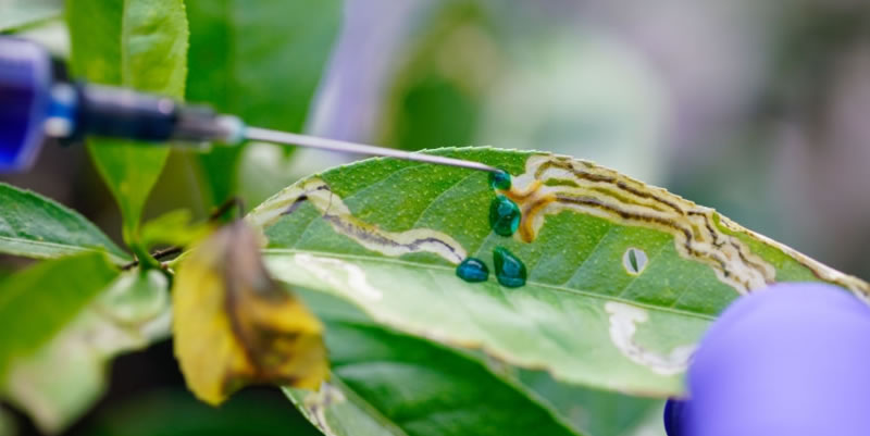 Pests can compromise your food storage