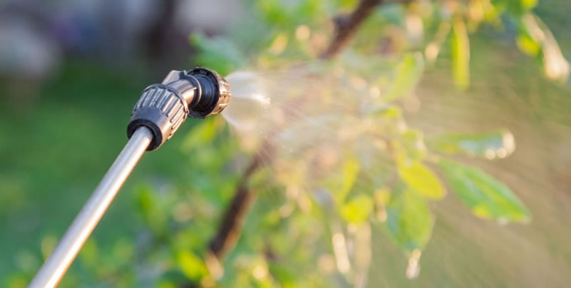 Pest Control Sunshine Coast