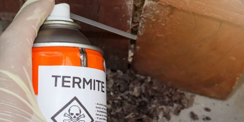 Australian Regulation For Termites
