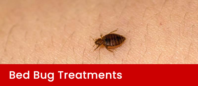 Controlling Bed Bugs