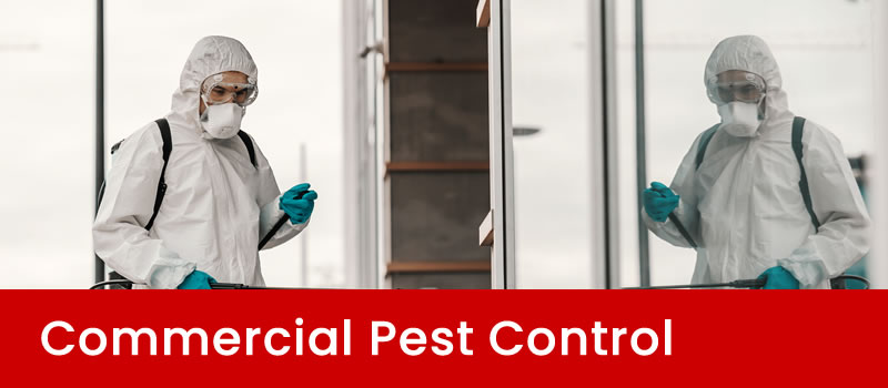 Pest Control For Commercial Properties