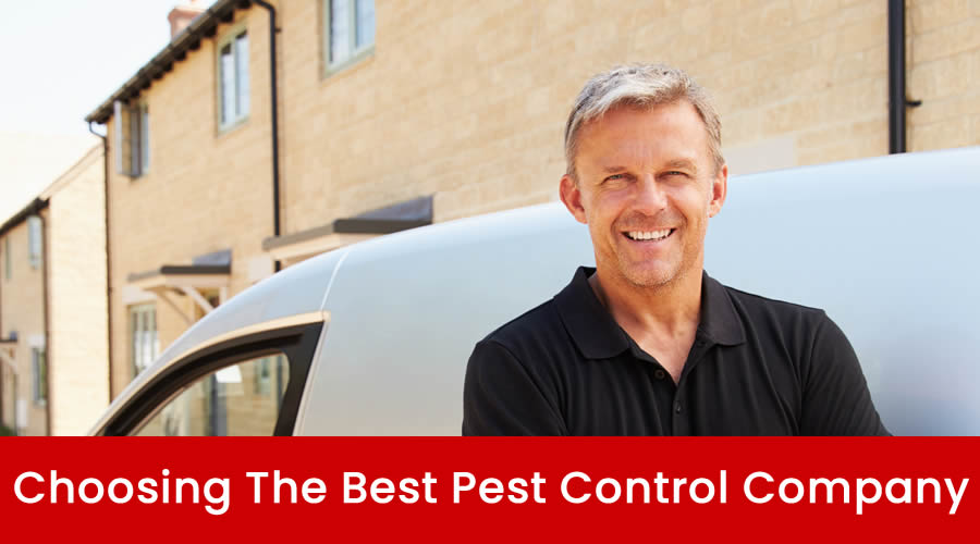 How To Choose The Best Pest Control Company in Brisbane