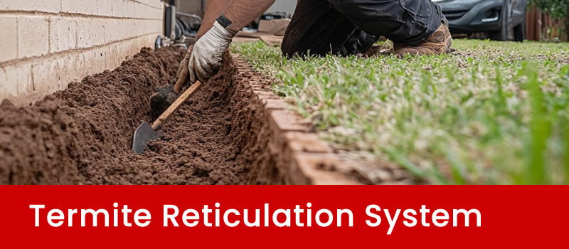 Termite Reticulation System Brisbane