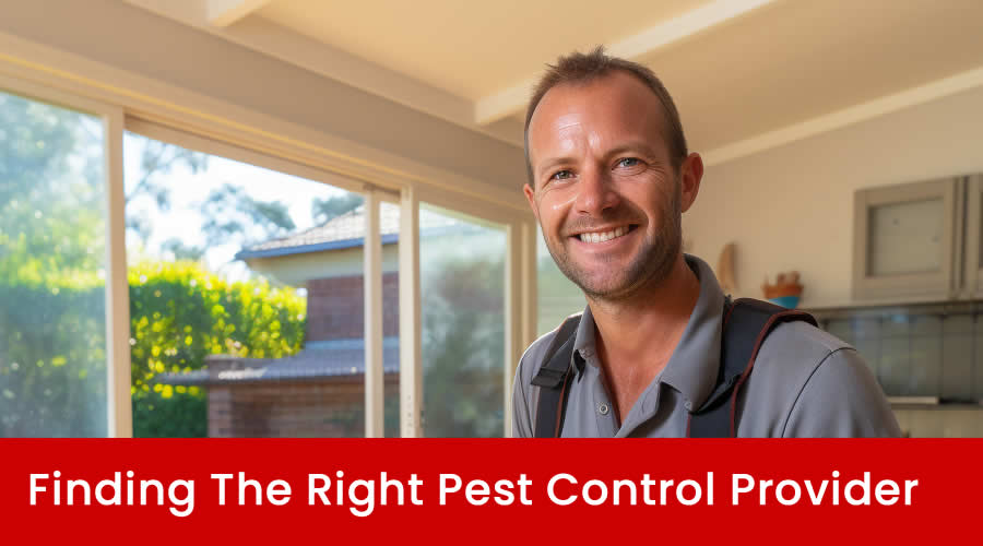 Tips For Selecting The Right Pest Control Company